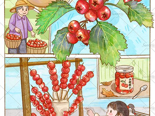山楂分镜插画