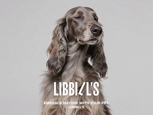 LIBBILL'S | 从0到1打造宠物出行品牌