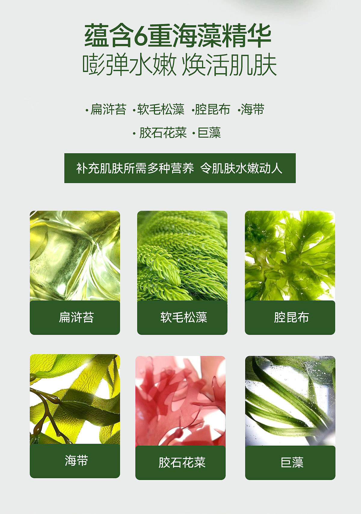 AOEO海藻面膜视觉升级