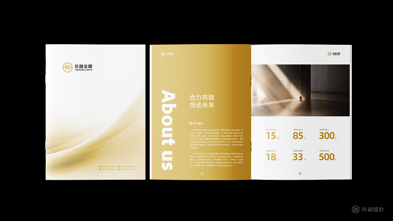 金融理财行业公司logo设计