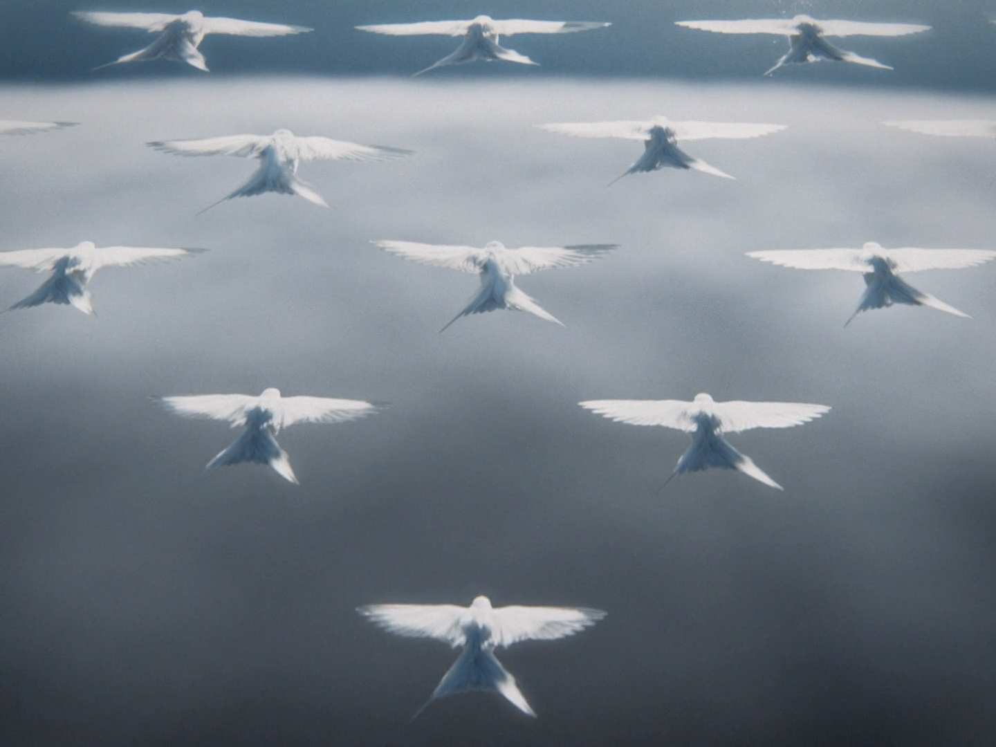 未来，某个平常的一天-概念动画《Regular Day》｜365天的好设计NO.135（图ZMTUyMDg4Mjg=） - 观点 - 站酷设计师站酷资讯原创素材 - 站酷ZCOOL