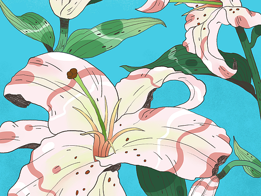 植物与花朵