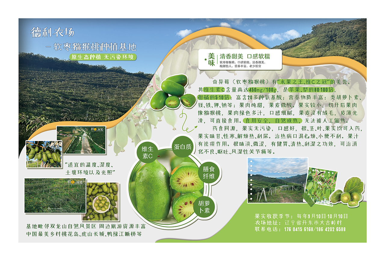 农场果园宣传三折页