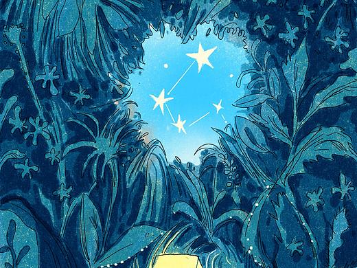 夏夜天文课