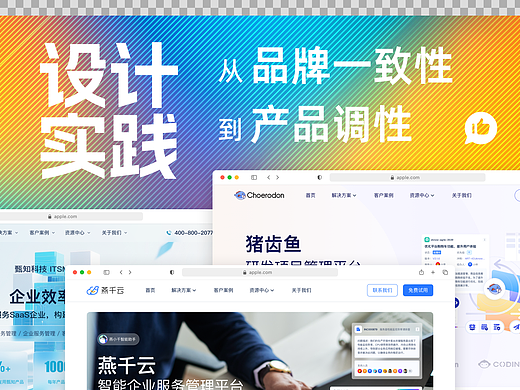 设计实践 - 从品牌一致性到产品调性思考