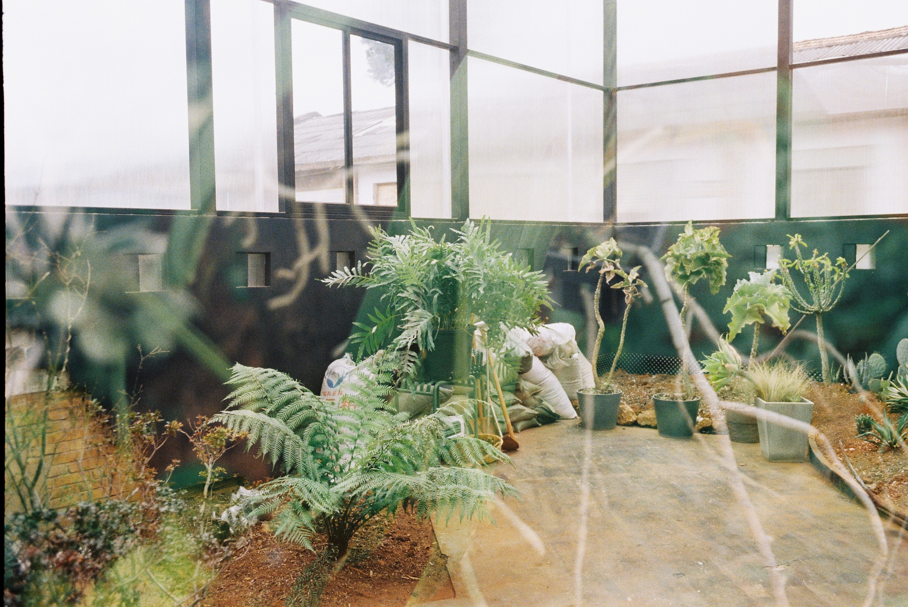 Brain歪后生的个人主页（封面预览） - 主页封面设置 - 站酷设计师Brain歪后生原创素材 - 站酷ZCOOL