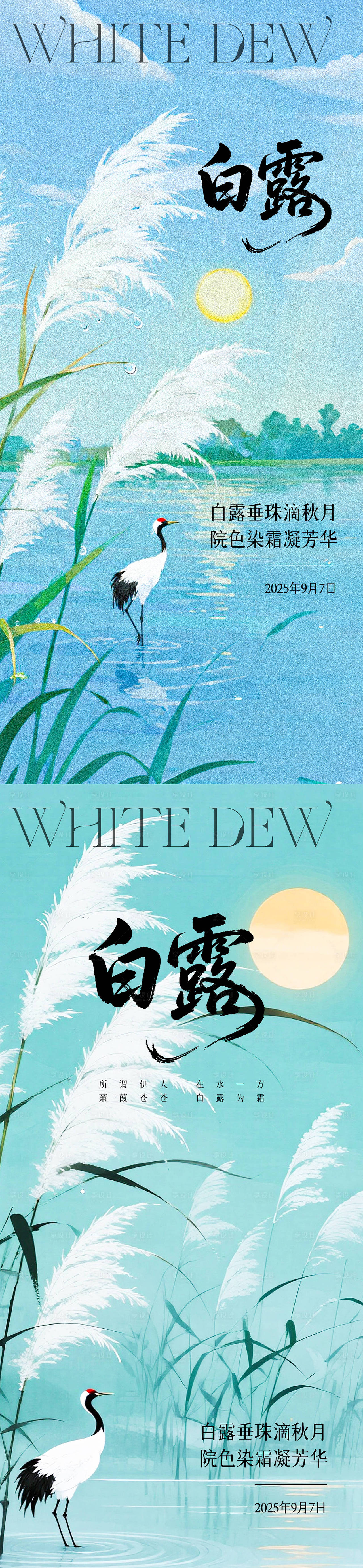 白露节气海报（图ZMzk1OTgyNzIw） - 海报 - 站酷设计师幸运鹅666原创素材 - 站酷ZCOOL