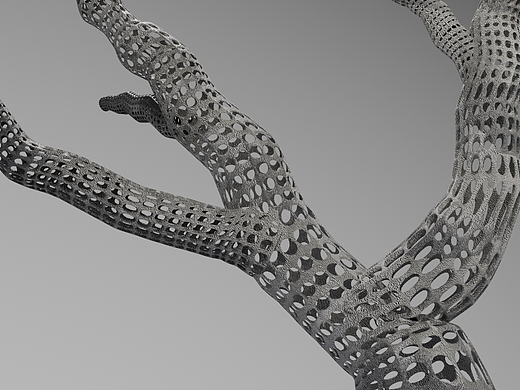 珊瑚-3d视觉