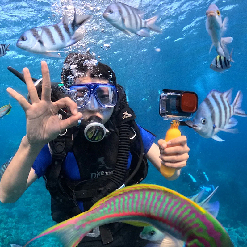 丰谷店-模板-埃及2025.8.12（图ZMzk1OTg5ODcy） - 海报 - 站酷设计师lm蓝莓原创素材 - 站酷ZCOOL