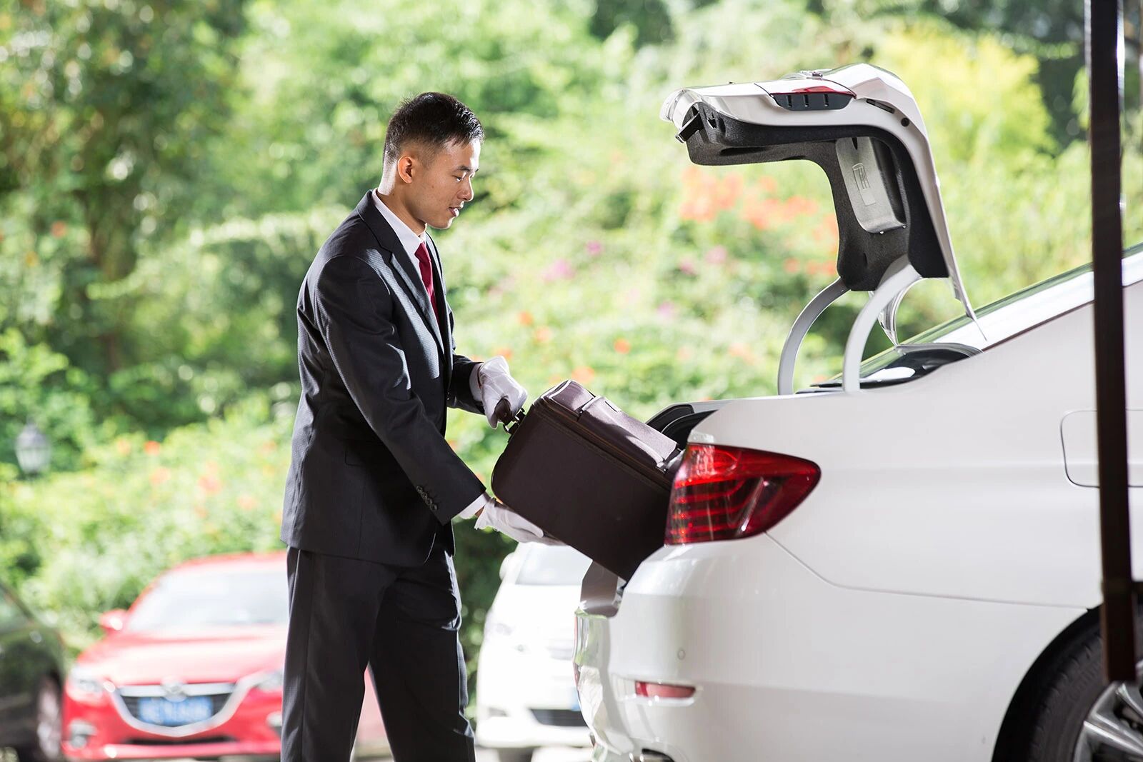 吴应忠院长笔下“龙山温泉”：六心妙法 绘就灵秀之境