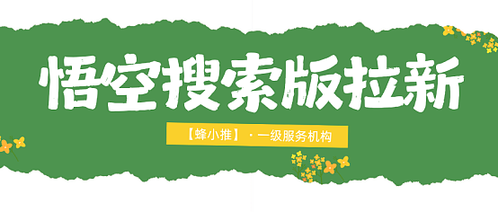 如何在悟空搜索版推广中实现稳定效果?关键方法解析