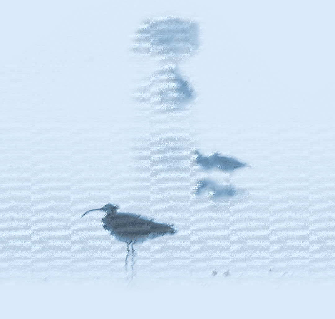 品牌定制 | 字魂×吴文化博物馆定制字体发布