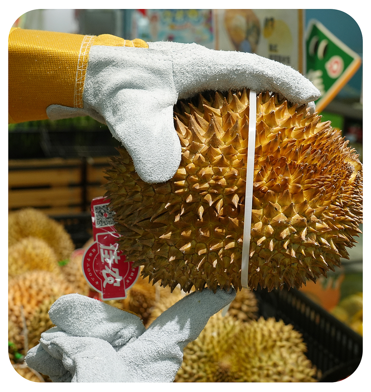 榴莲防护手套
