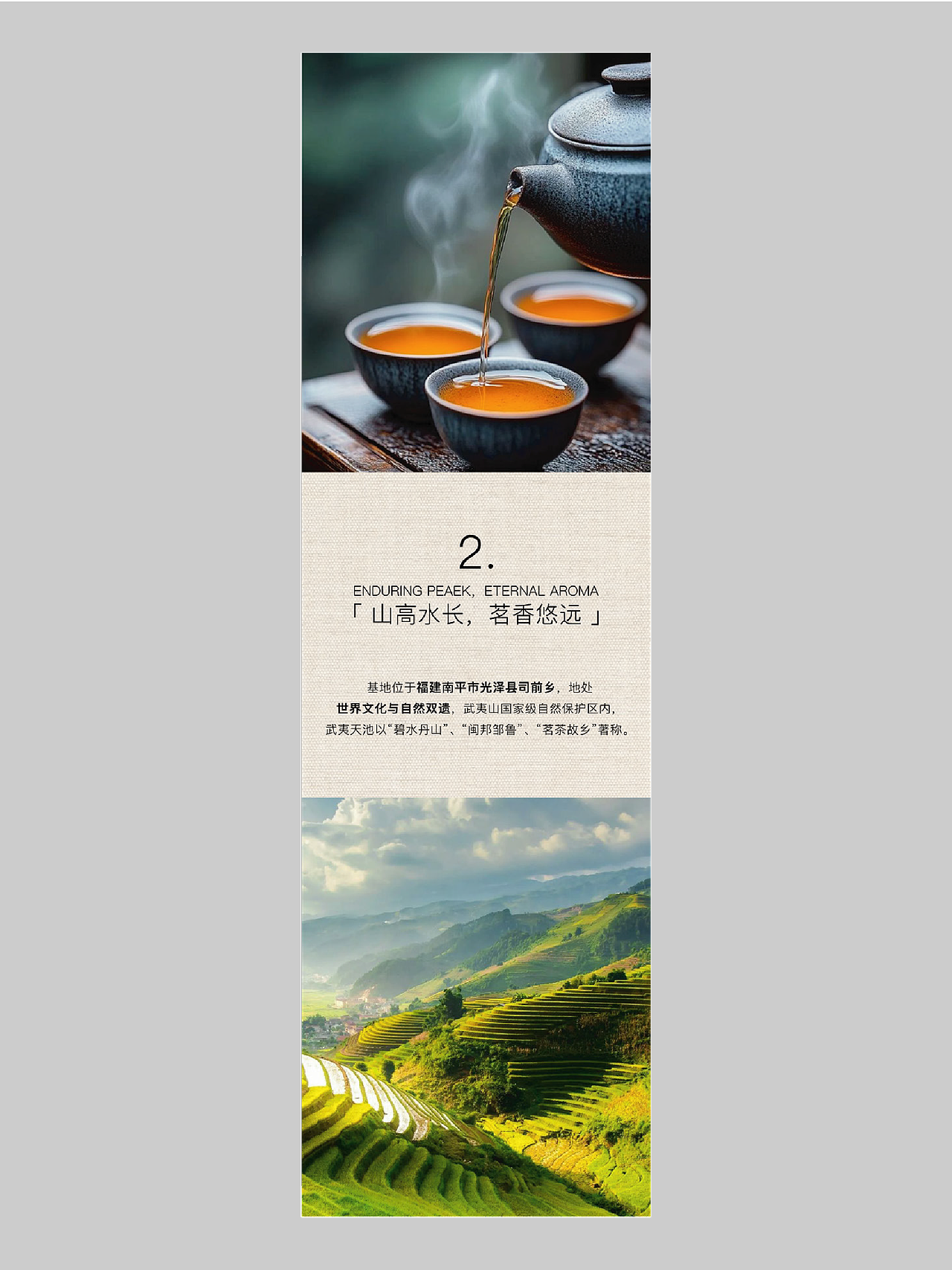 ｜茶叶品牌｜公众号排版设计（图ZMzk2MDM3ODYw） - 运营设计 - 站酷设计师LONGDESIGN1原创素材 - 站酷ZCOOL