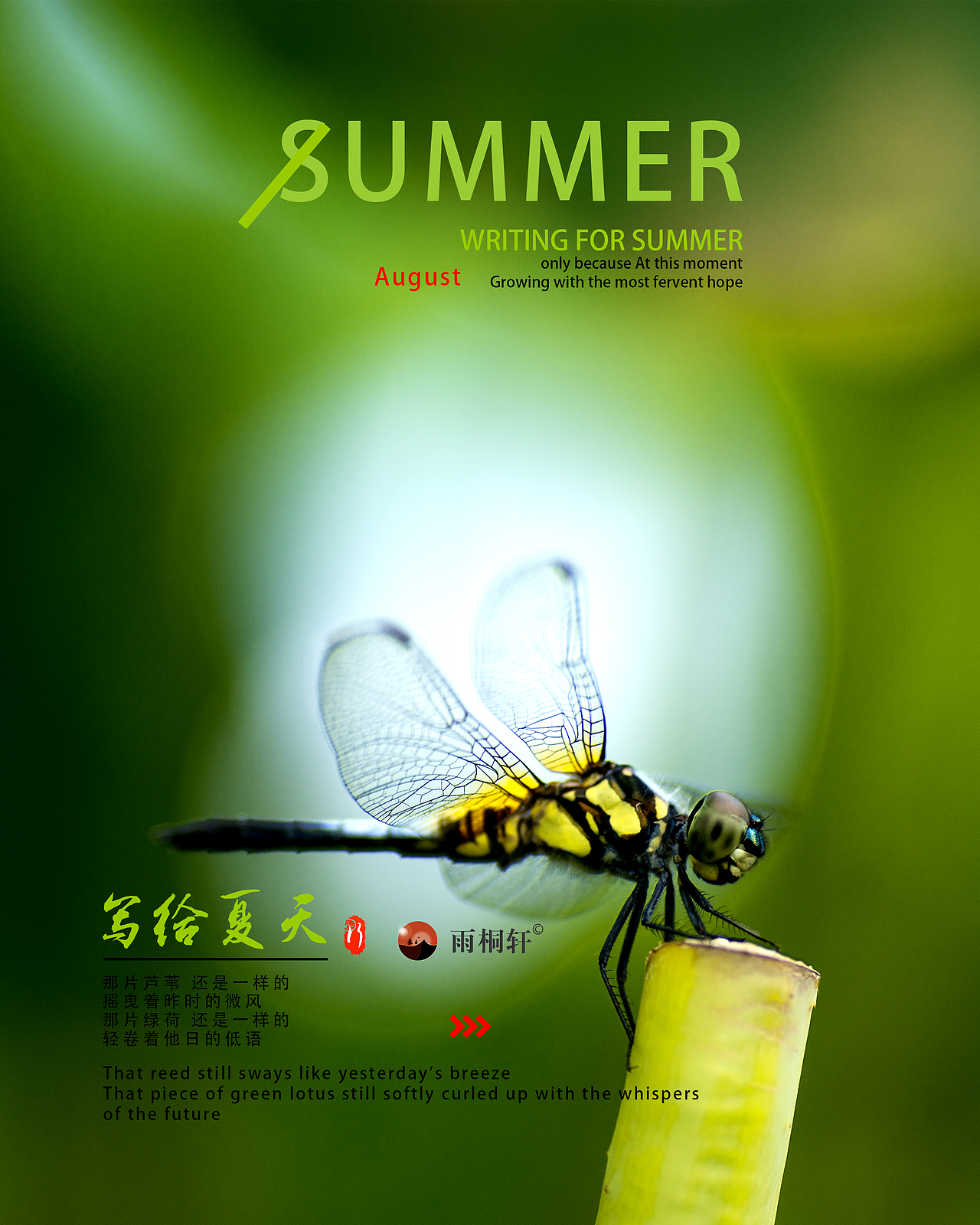 写给夏天（图ZMzk2MDQxMzQw） - 海报 - 站酷设计师若扬视觉原创素材 - 站酷ZCOOL