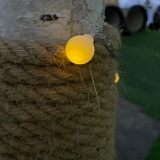 Gg00111的头像