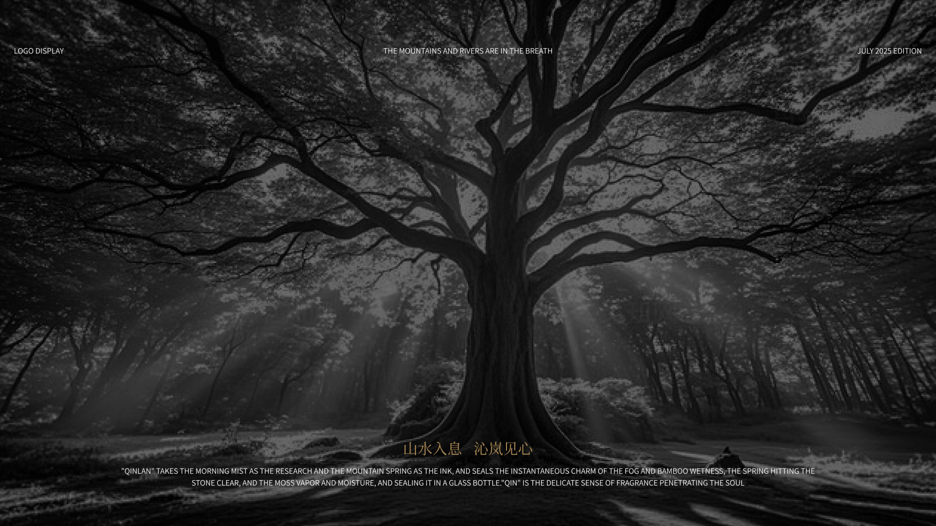 沁岚香水·品牌全案（图ZMzk2MDY2ODg0） - 品牌 - 站酷设计师漫一设计原创素材 - 站酷ZCOOL