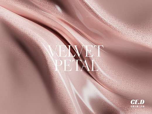 Velvet Petal 丨彩妆品牌设计