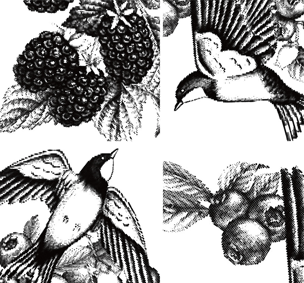 瞳宝品牌包装设计升级