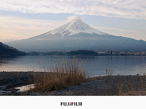 霓虹国之旅 | 富士FUJIFILM