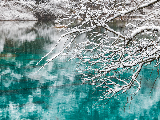 九寨沟五花海雪景