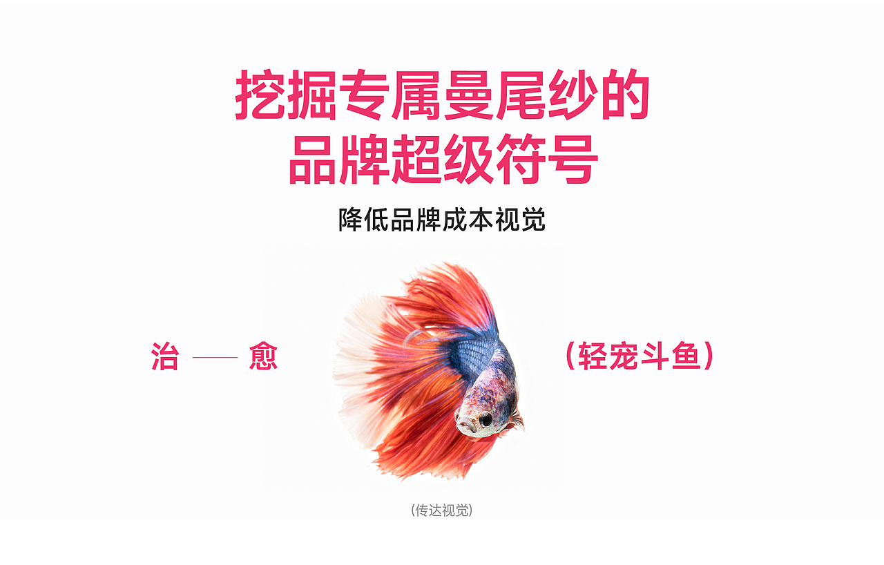 Mavisa曼尾纱 | 泰国斗鱼 | 品牌全案