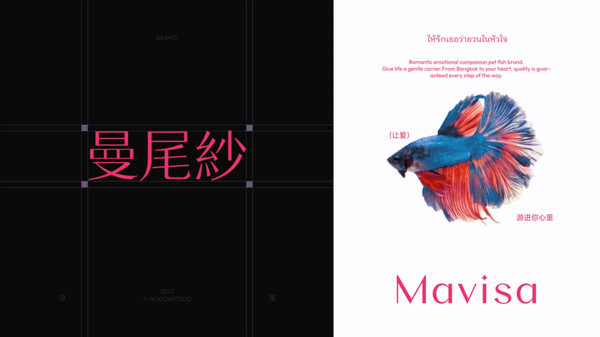 Mavisa曼尾纱 | 泰国斗鱼 | 品牌全案