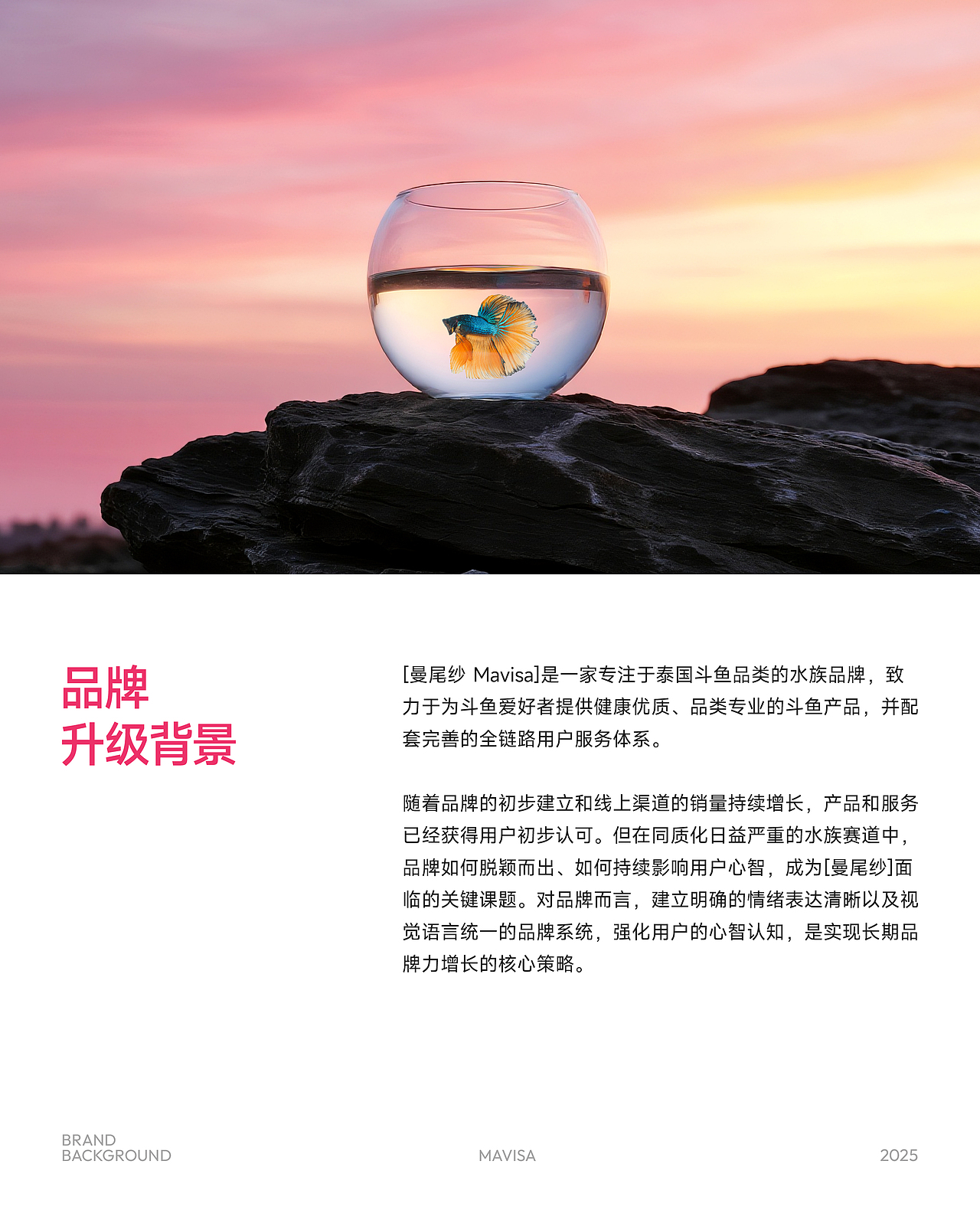 Mavisa曼尾纱 | 泰国斗鱼 | 品牌全案