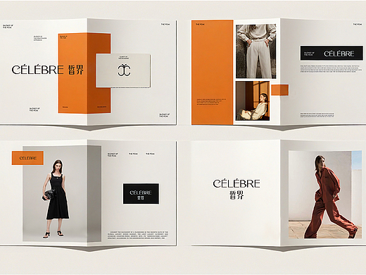 女装品牌全案
