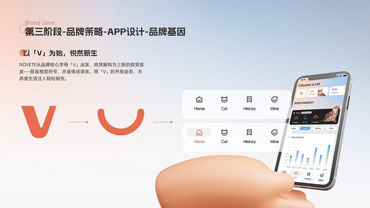 自动清洁智能猫砂盆项目全流程设计