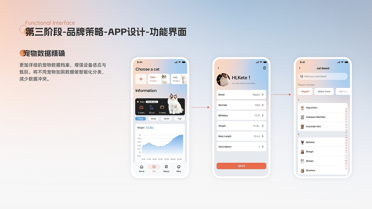 自动清洁智能猫砂盆项目全流程设计