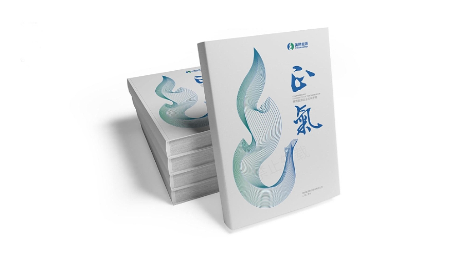 策略驱动的创意整合者 | 妍的作品集