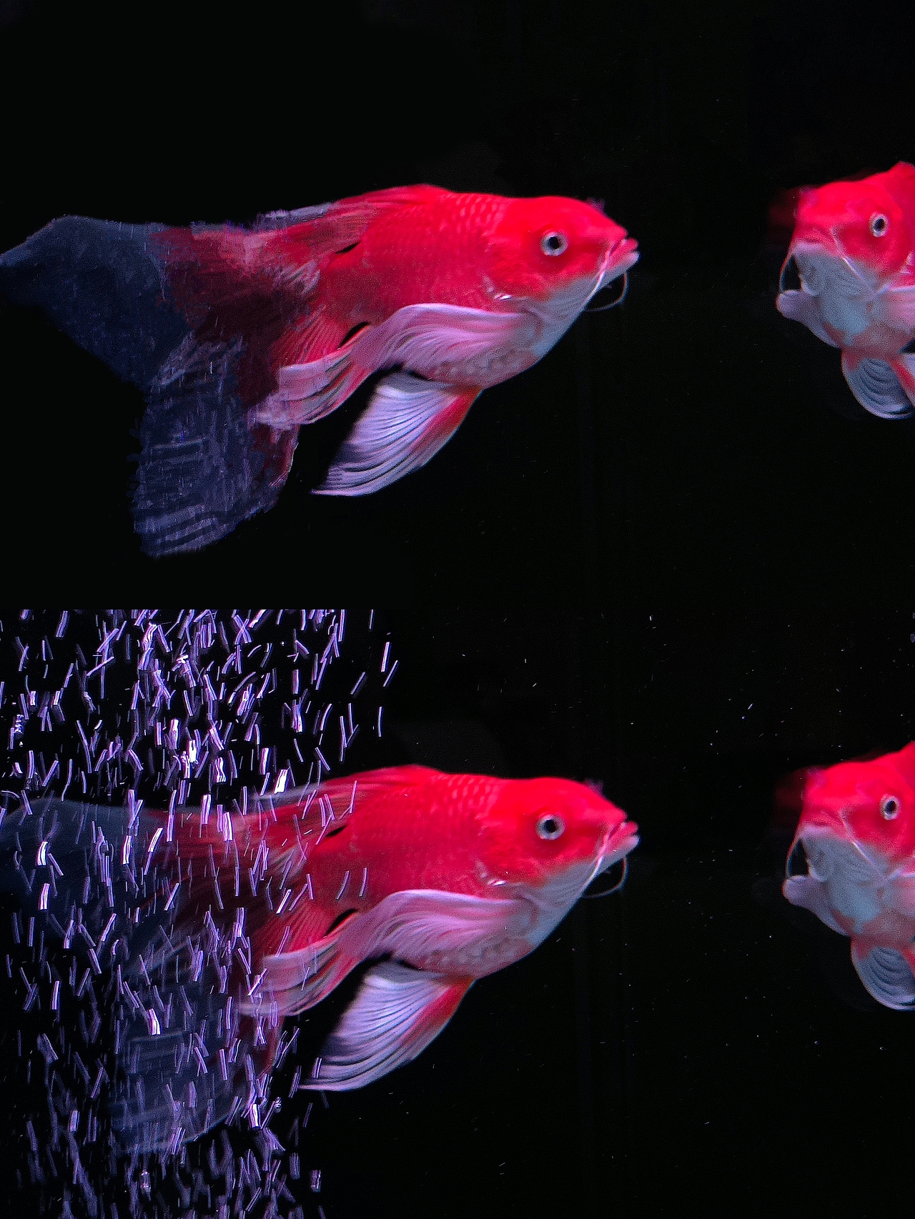 无奇（图ZMzk2MTI0MDU2） - 风光摄影 - 站酷设计师Blix原创素材 - 站酷ZCOOL