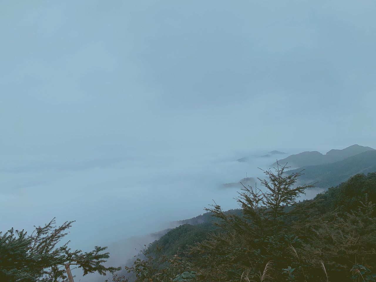 【静观山水,雅韵新生】——三合院中堂礼序