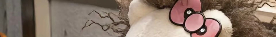 学不会的小涵的个人主页（封面预览） - 主页封面设置 - 站酷设计师学不会的小涵原创素材 - 站酷ZCOOL