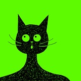 夜猫君呀的头像