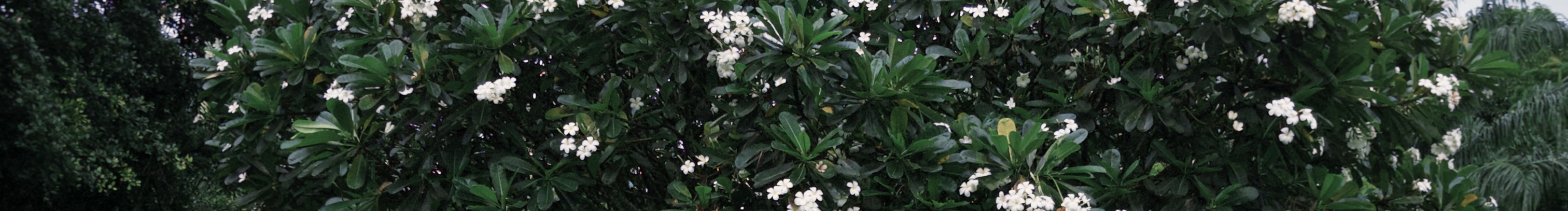 小雨捕星星的个人主页（封面预览） - 主页封面设置 - 站酷设计师小雨捕星星原创素材 - 站酷ZCOOL