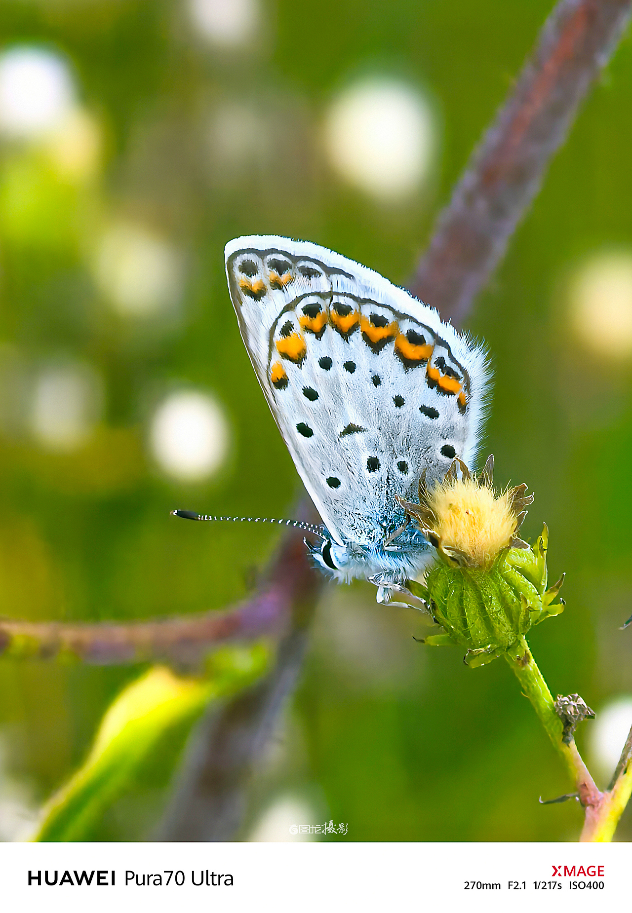 阿坝州独有的绝美画卷，让人来了就不想离开