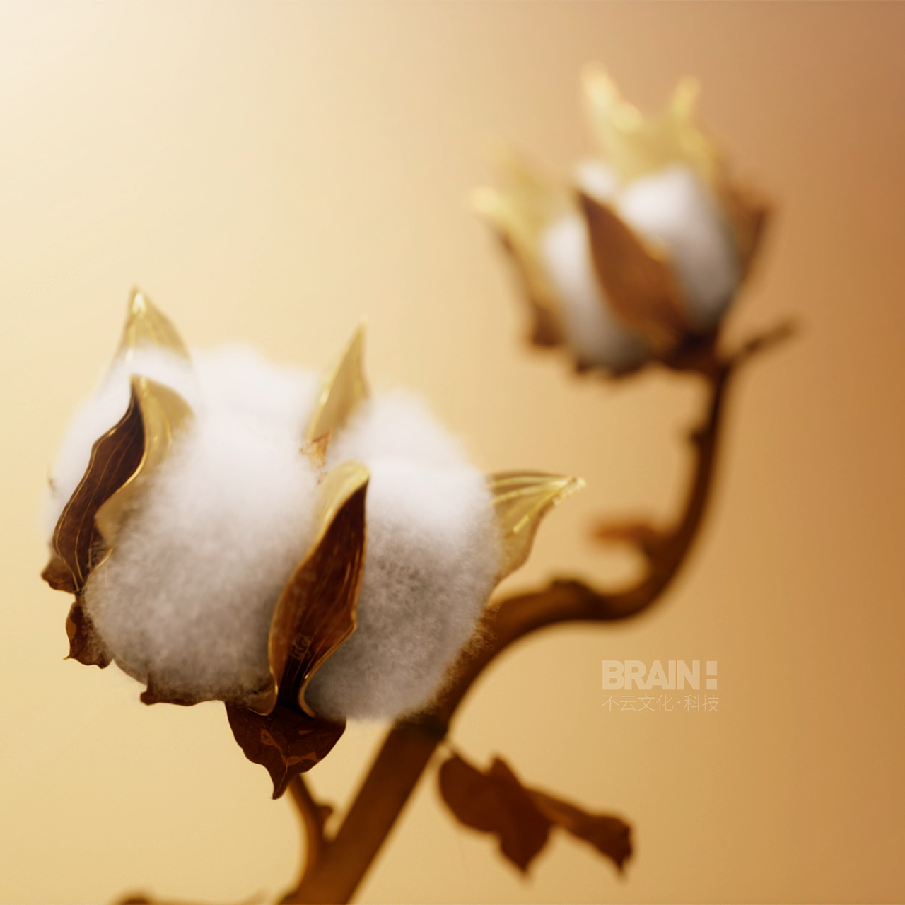 服饰服装类项目案例混剪（图ZMzk2MTg3NDQw） - 动画/影视 - 站酷设计师BRAIN不云文化原创素材 - 站酷ZCOOL