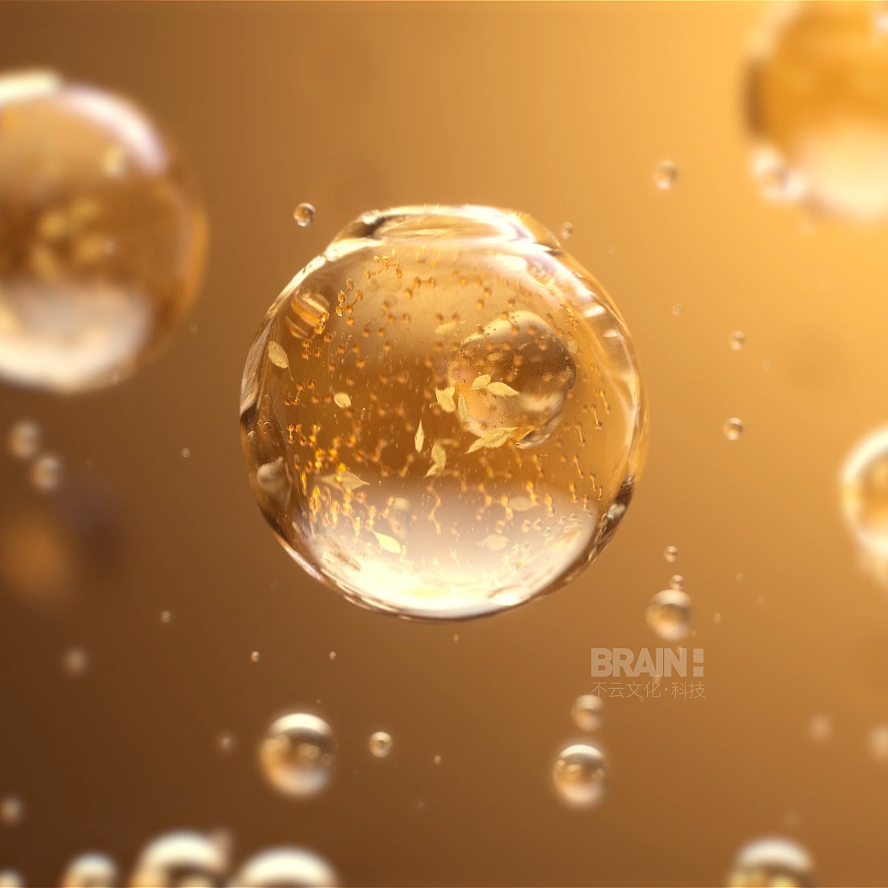 服饰服装类项目案例混剪（图ZMzk2MTg3NDE2） - 动画/影视 - 站酷设计师BRAIN不云文化原创素材 - 站酷ZCOOL