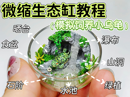 用粘土微缩生态缸模拟饲养小乌龟|附教程