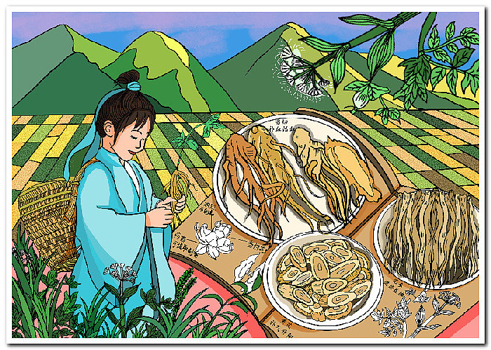 绘画作品数字绘画电脑绘画电子绘画2506