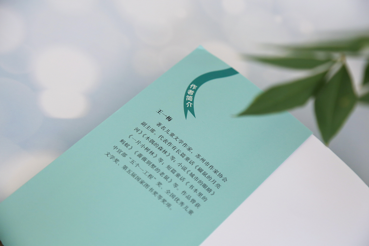 书籍设计|王一梅读写小童话