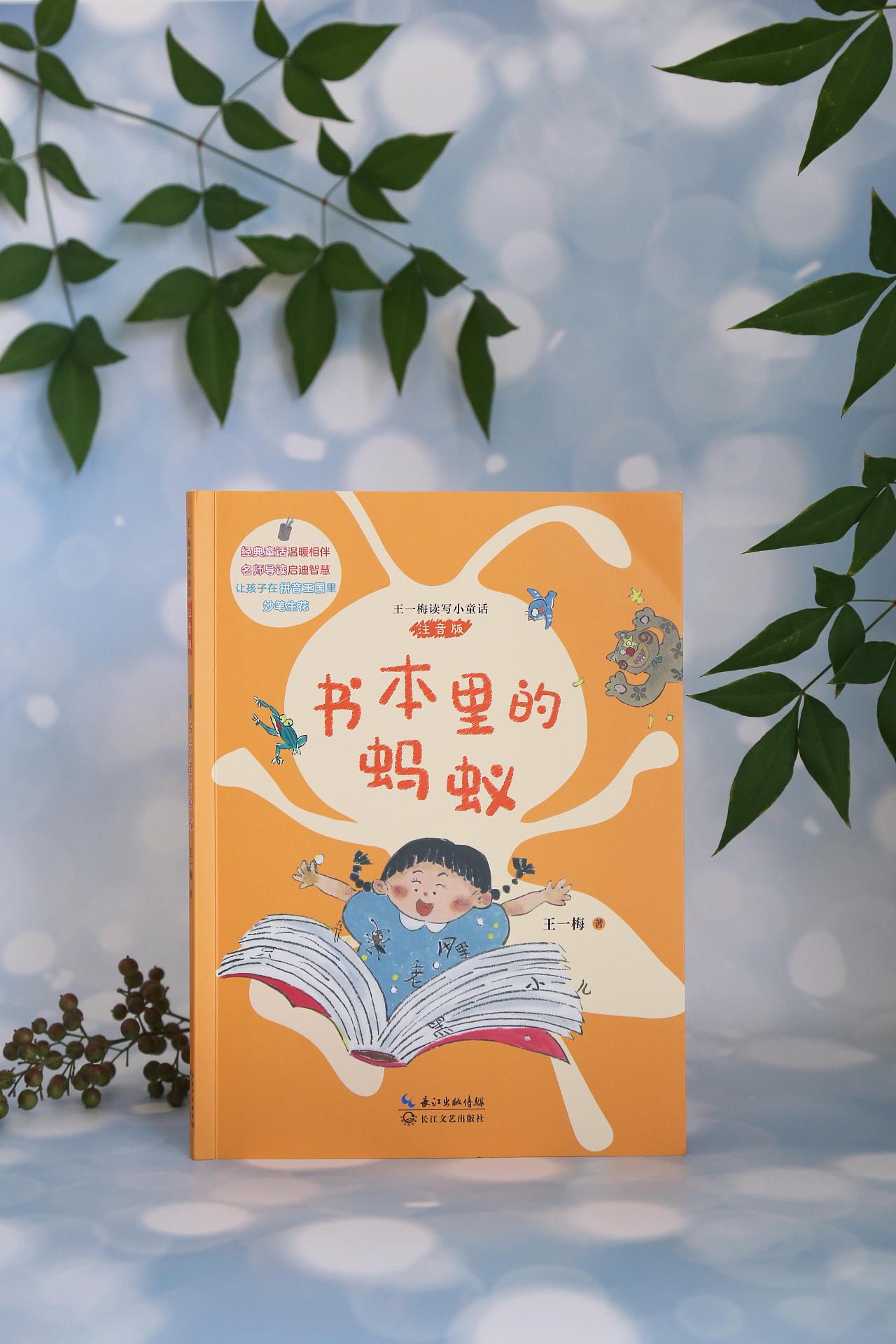 书籍设计|王一梅读写小童话