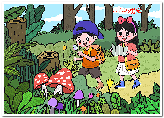 绘画作品数字绘画电脑绘画电子绘画2508