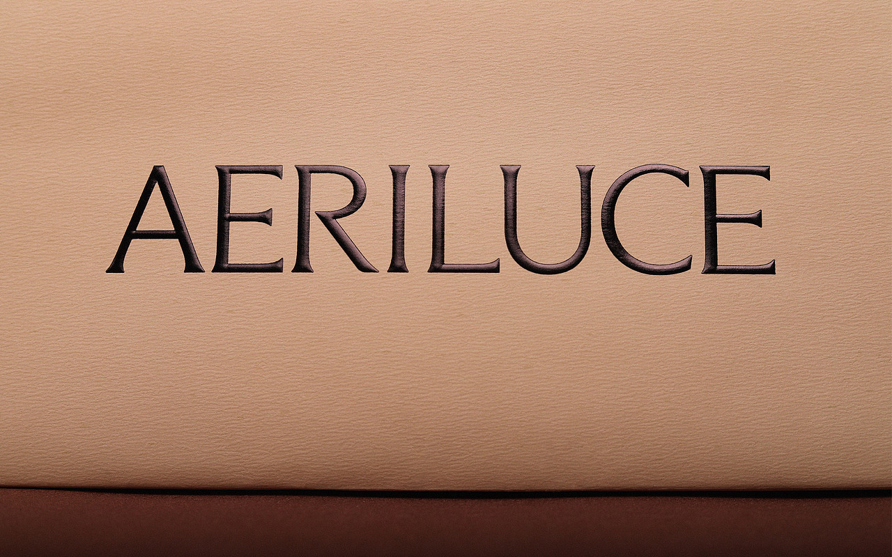 FGD&AERILUCE皮具品牌视觉设计