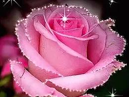 我正在寻找认真的关系