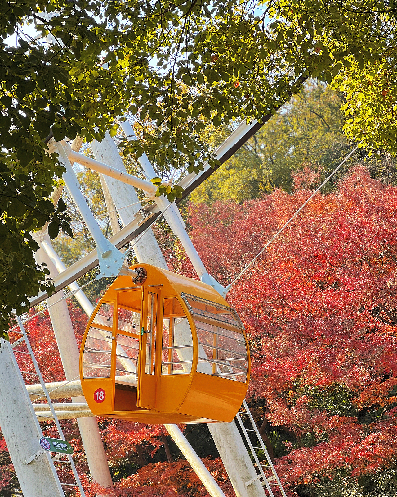 扫街 | 南京的深秋