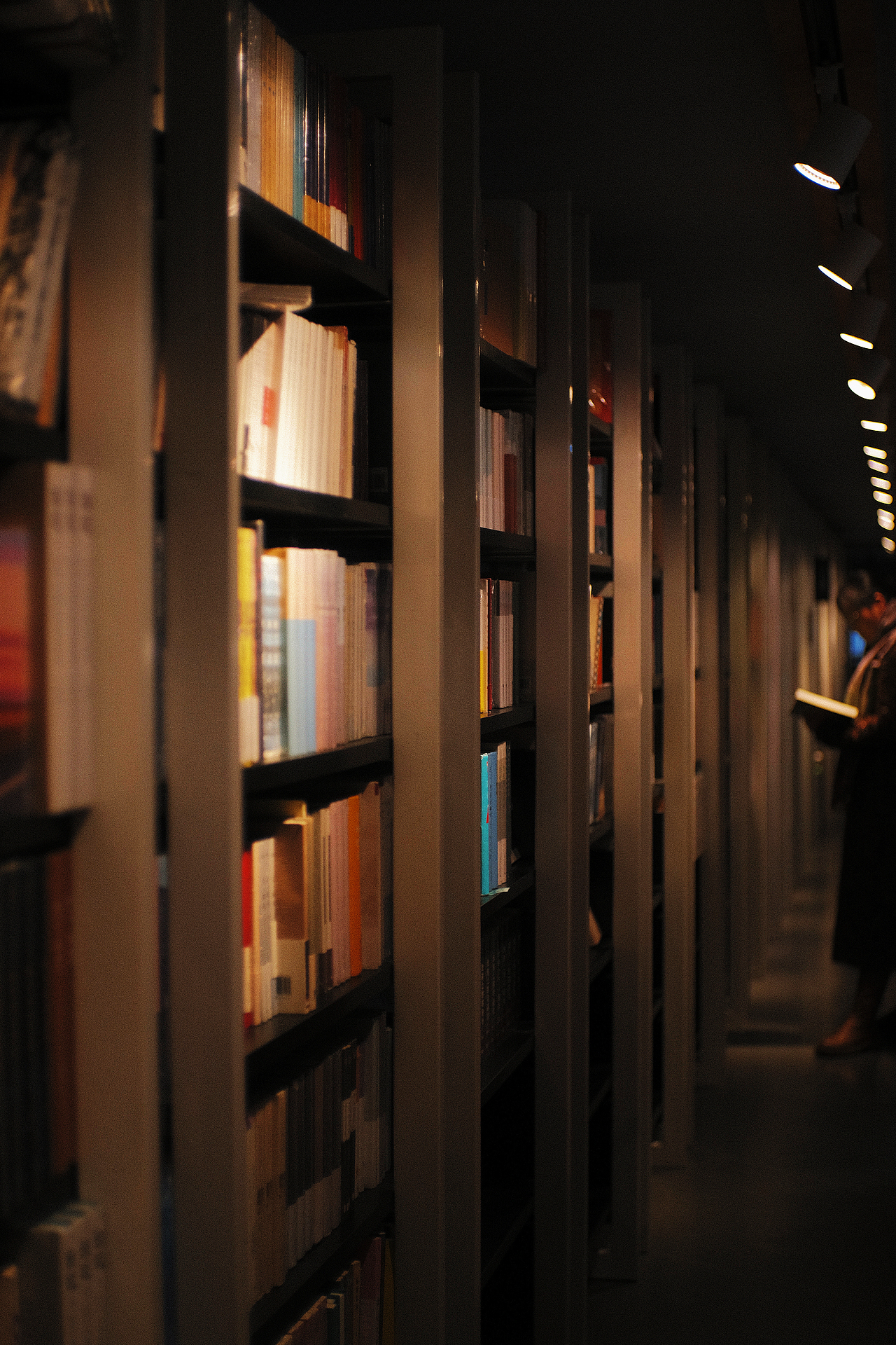 扫街 | 南京的深秋