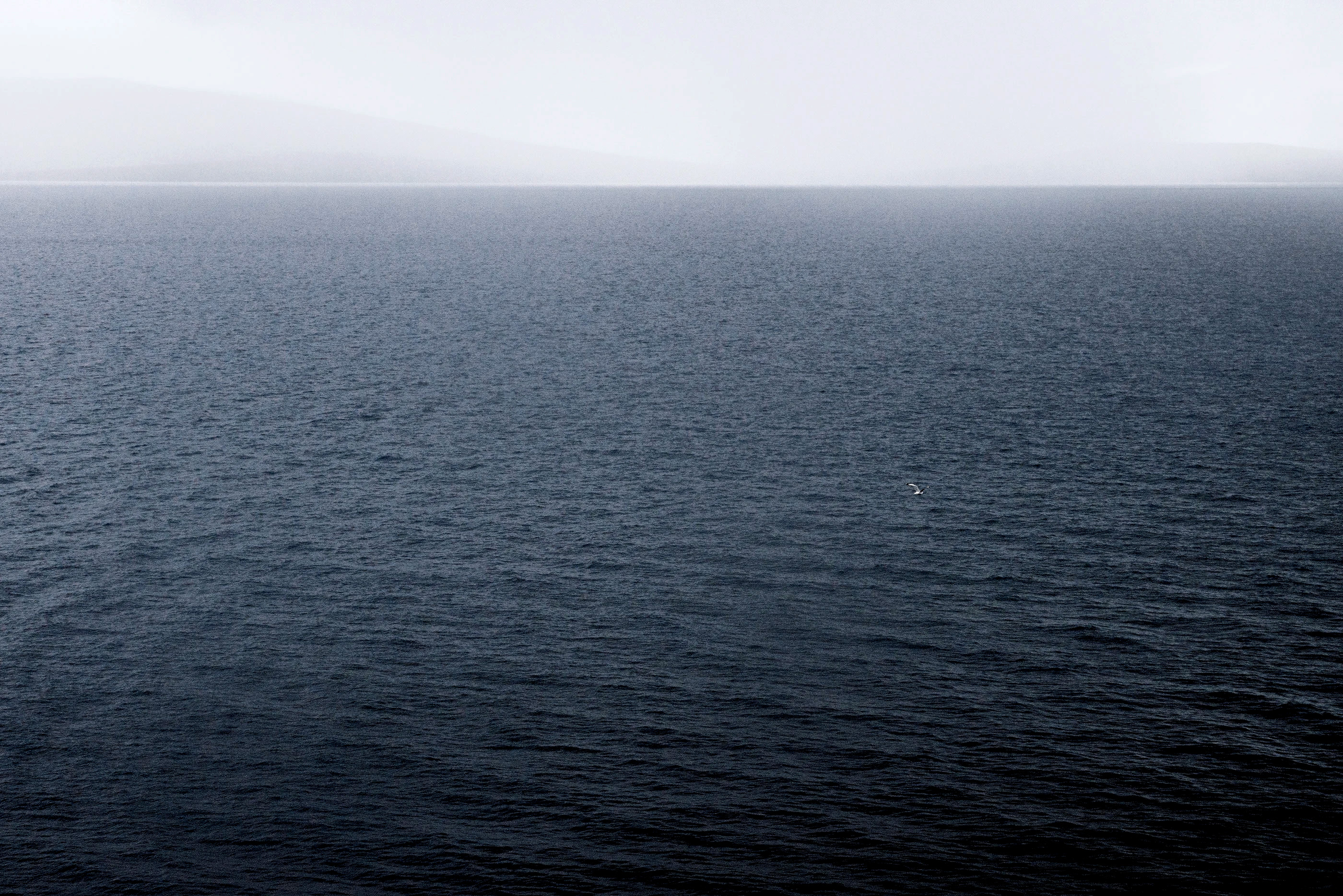 Rainlook的个人主页（封面预览） - 主页封面设置 - 站酷设计师Rainlook原创素材 - 站酷ZCOOL